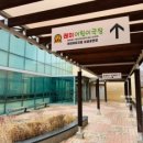 어린이뮤지컬 정글북 이미지