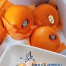 귤마씸