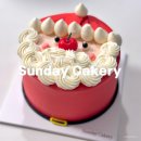 선데이 케이커리(Sunday Cakery) | 수지 생일 레터링 케이크 찐만족 추천 선데이케이커리 크리스마스 산타케이크