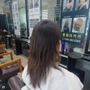 청양빌딩 | 룻헤어커커 청양뿌리볼륨아이롱펌 솔직 후기