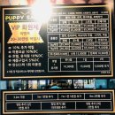 퍼피살롱 이미지