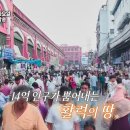 내일 첫방하는 SBS 예능 신박한 출연진 라인업…jpg 이미지