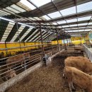 한율이네 농장 이미지