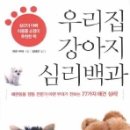 못된 강아지 이미지