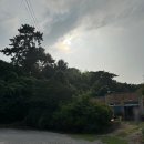 용궁가든 | 당진 백숙 맛집, 청삼씨닭백숙으로 확실한 몸보신이 가능한 용궁가든 후기