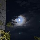 서전주 졸음쉼터 이미지