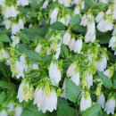 마장공원 이미지