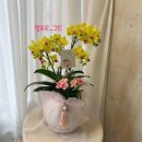 무주읍043 네이버블로그
