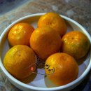 장수 번암막걸리 이미지