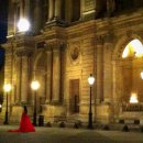 마이마치컴퍼니 | 파리 야경 투어 후기, 스냅 사진으로 인생샷까지 놓치지 마세요!