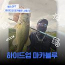 로드소프트 | 하이드업 마카블루 배스로드 직접 써본 감도 밸런스 솔직 후기