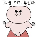 김치 도가 이미지