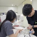 사하동물병원 네이버블로그