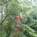 무안몽탄중학교 이미지