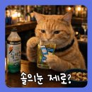 CU강릉대솔향관점 | 솔의눈 제로 500 분석, 13kcal의 비밀