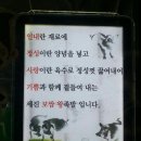 행복보쌈 이미지