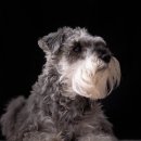 이아이앤테리어 이미지