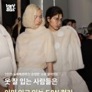 헤이시스 글로벌