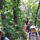 서삼릉길 이미지