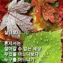 신혼 첫날 밤 이미지