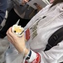 푸드김씨
