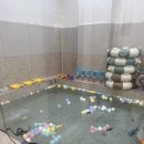 오감데이즈