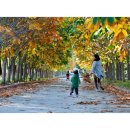 경주산림환경연구원 이미지