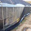 보수농장 이미지