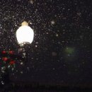 골라먹는재미 이미지