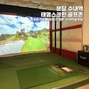 태영스크린 이미지