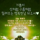 언제나;예쁘다 이미지