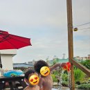 함덕돌담집휴