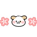이음청소 이미지