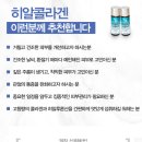 히알팜 네이버블로그