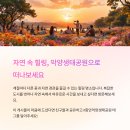 함안신발 이미지