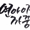 스텔라이 이미지