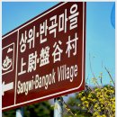 산수유꽃길로 이미지