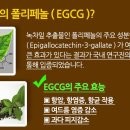 애드봉 이미지
