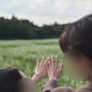 Wedding 3-3. 스튜디오모디 보정본 수령 후기 📷 시간이 지나도 자꾸 꺼내보게 되는 사진들