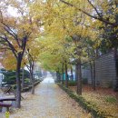창원대산우체국 | 김귀영의 무학산 산행기 1