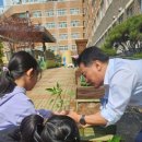 화성반월초등학교 이미지