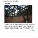 보문여행사