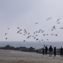 서보약국 이미지