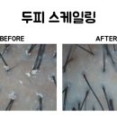 닥터모락 평택점 이미지