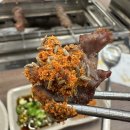 훈이네만두 | [맛집]아산 양꼬치 훈이네양갈비&양꼬치 후기🍢 메뉴 가격 맛 주차