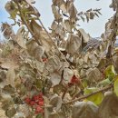 순배농장 이미지