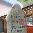 술타령 이미지