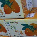 섬진강(순천) 이미지