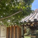 통영스테이 이미지