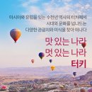 온천지구 외 가로수길 | [튀르키예여행추전] 터키 일주 노쇼핑,노팁 필수옵션 포함 이색온천체험 패키지 10월,11월 일정